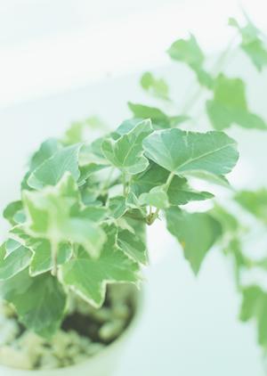 埼玉で足場組立や工事をお願いするなら